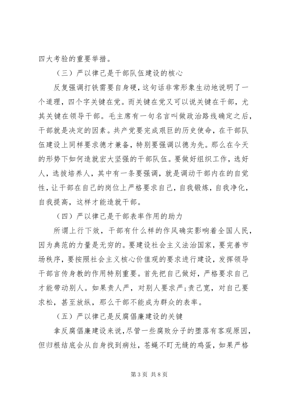 2023年干部在严以律己研讨会上的讲话稿优秀.docx_第3页