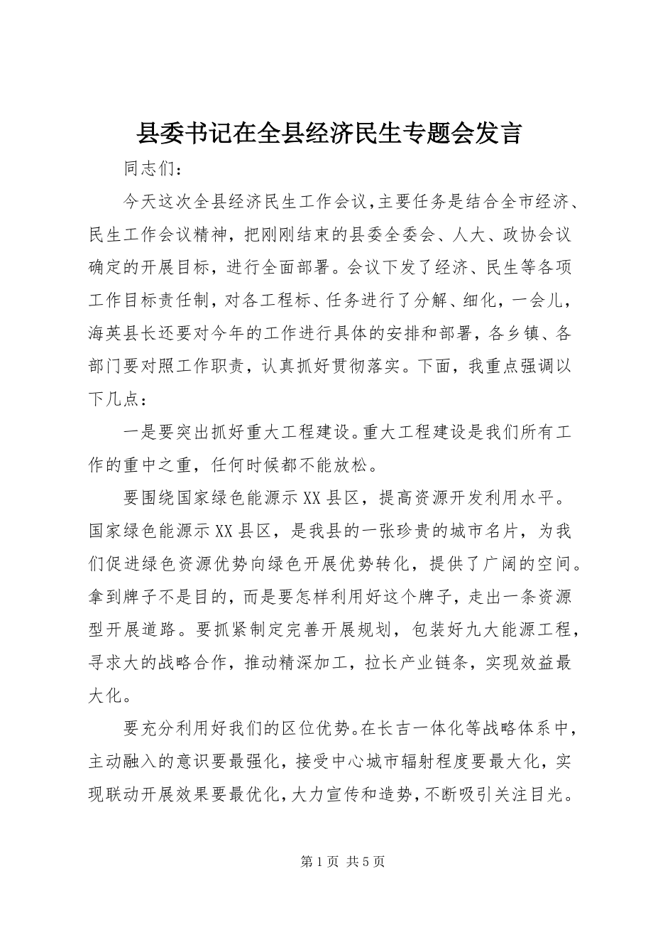 2023年县委书记在全县经济民生专题会讲话.docx_第1页