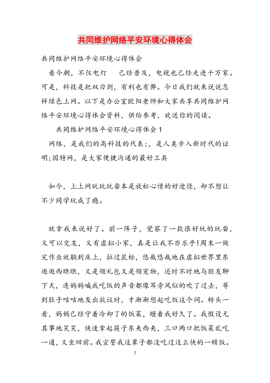 2023年共同维护网络安全环境心得体会.doc_第1页