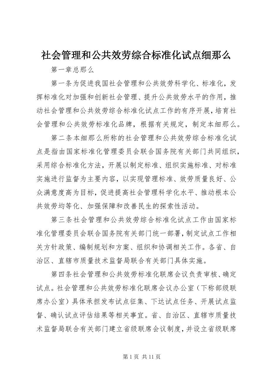 2023年社会管理和公共服务综合标准化试点细则.docx_第1页