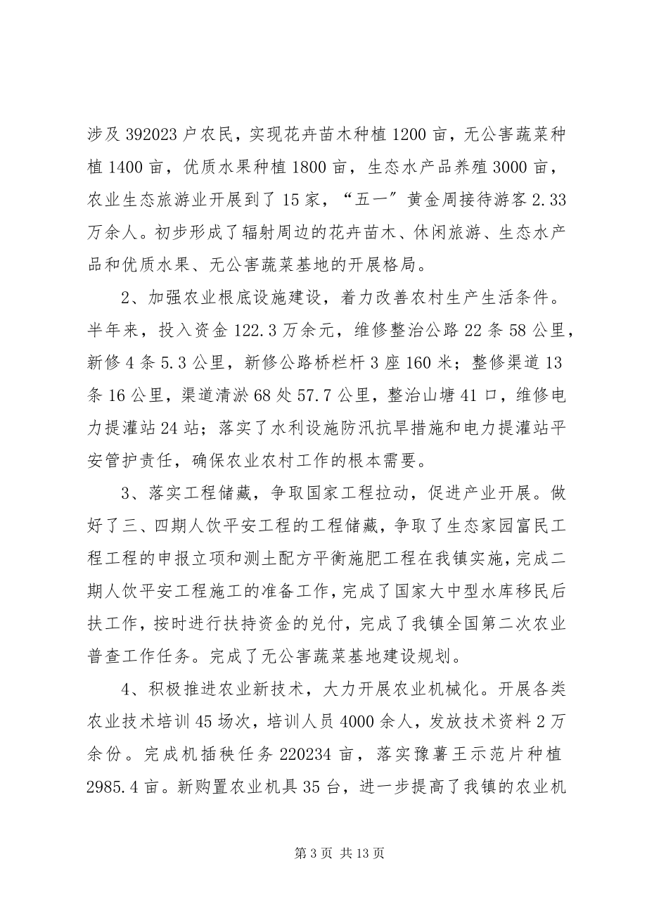 2023年乡镇半年工作总结和下半年工作安排.docx_第3页