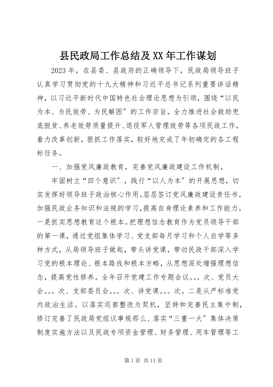 2023年县民政局工作总结及工作谋划.docx_第1页