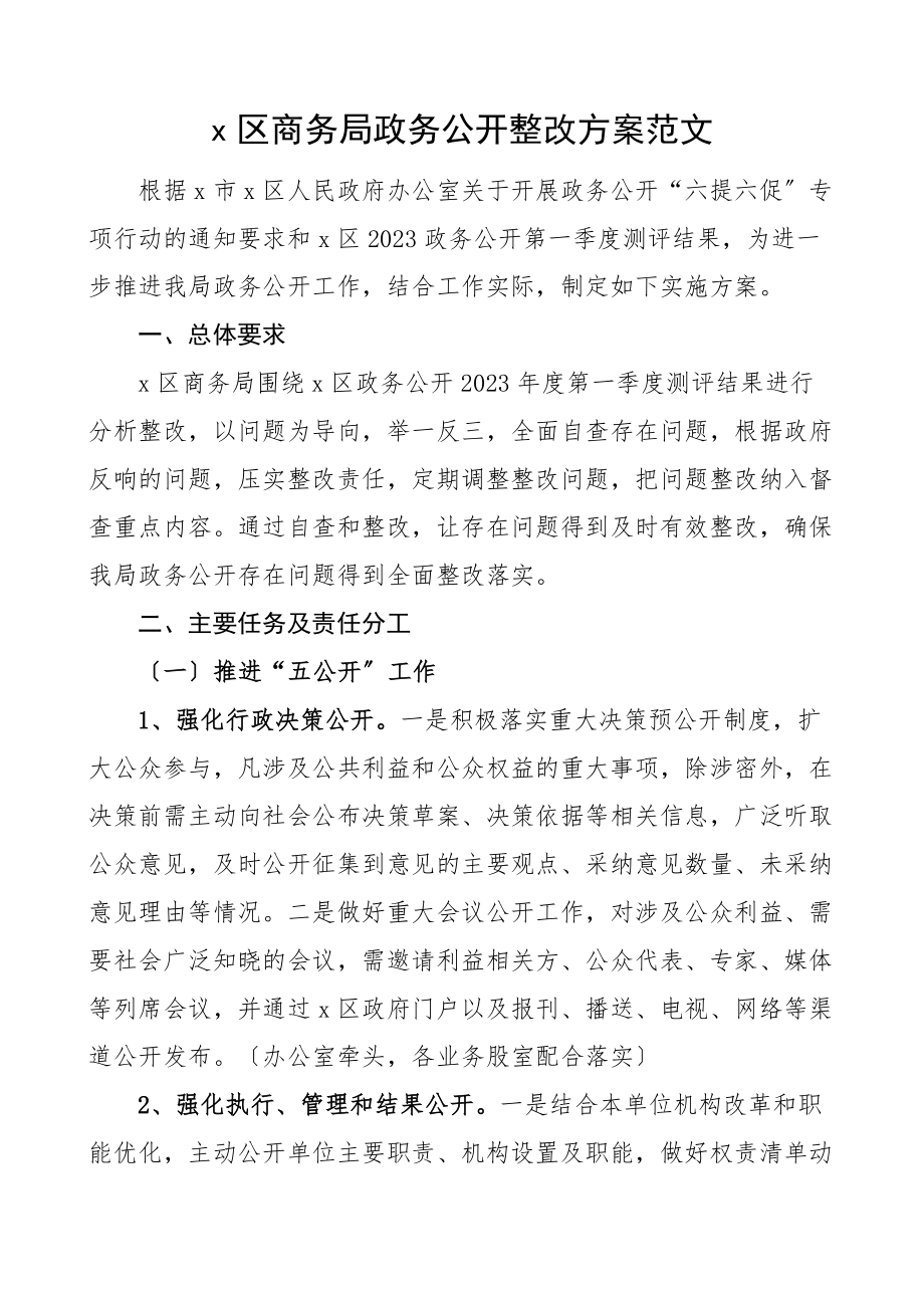 2023年整改方案区商务局政务公开整改方案问题整改素材.docx_第1页