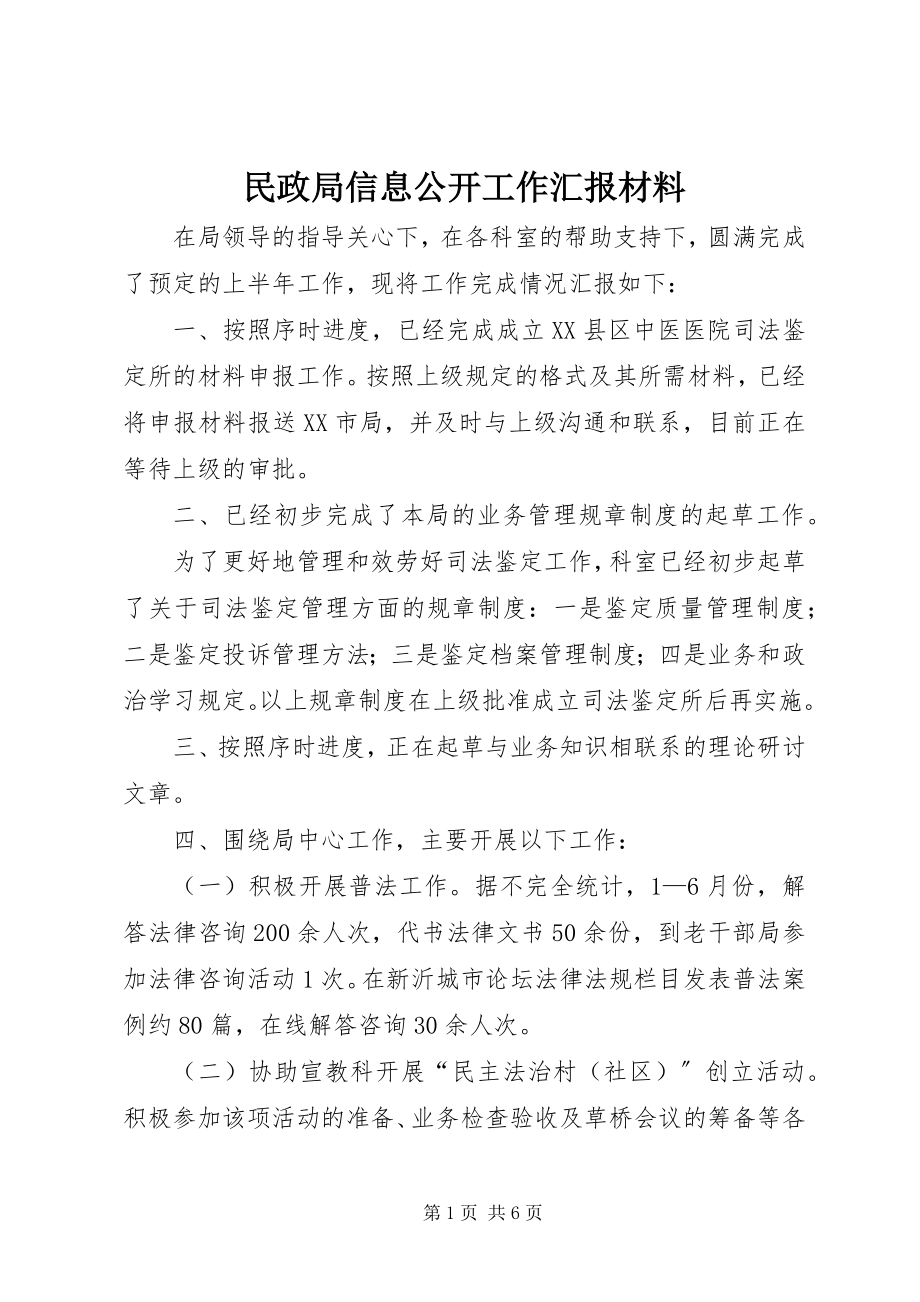 2023年民政局信息公开工作汇报材料.docx_第1页