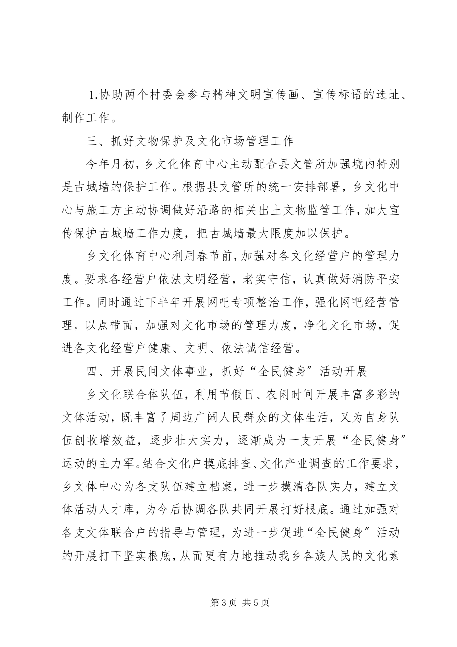 2023年乡文化体育工作总结新编.docx_第3页