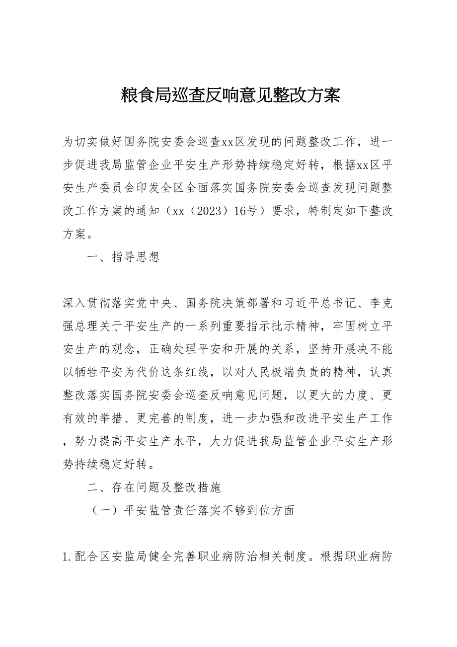 2023年粮食局巡查反馈意见整改方案.doc_第1页