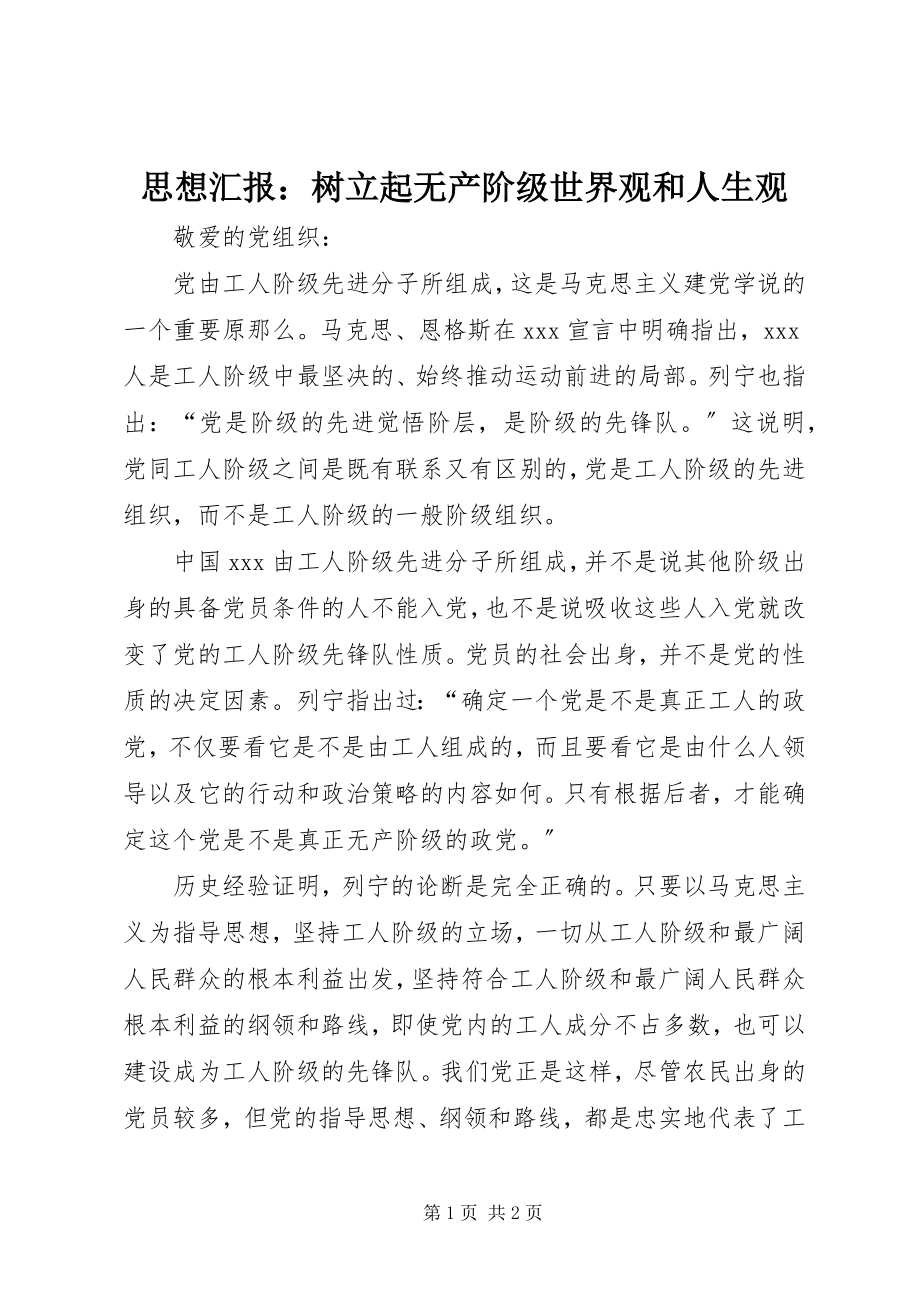 2023年思想汇报树立起无产阶级世界观和人生观.docx_第1页