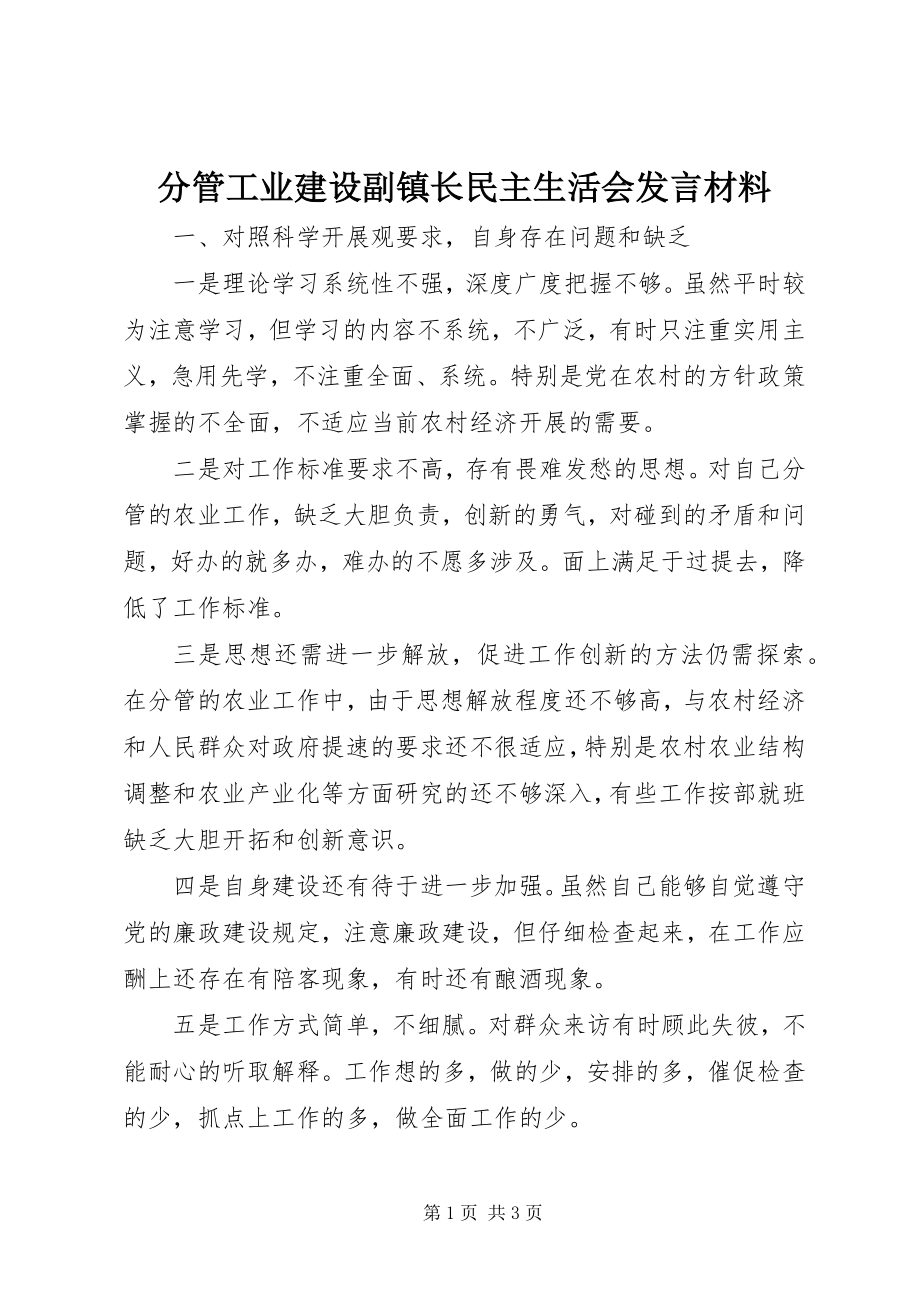 2023年分管工业建设副镇长民主生活会讲话材料.docx_第1页