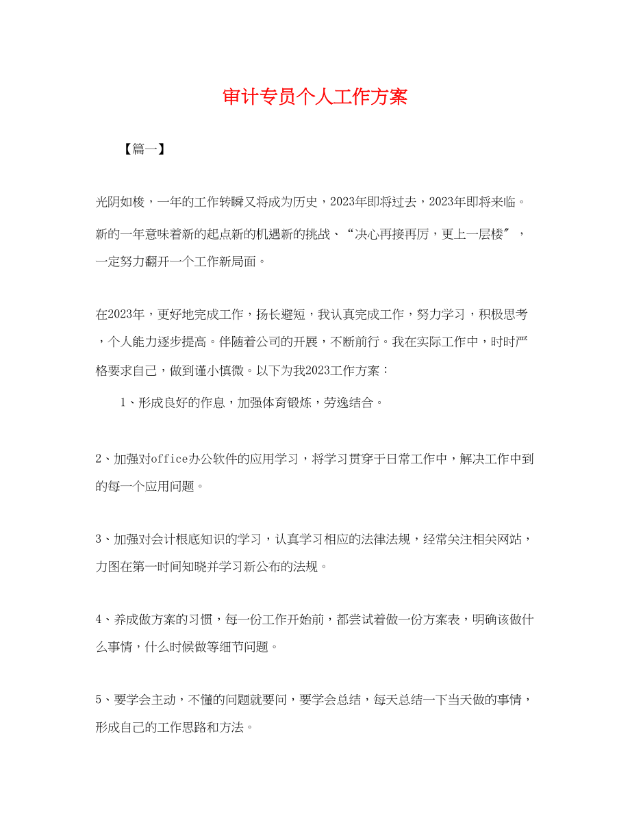 2023年审计专员个人工作计划.docx_第1页