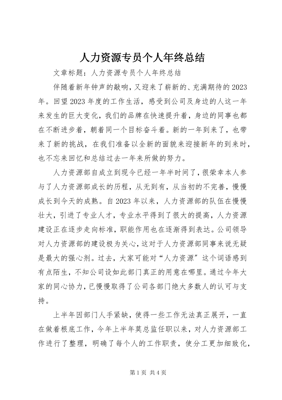 2023年人力资源专员个人年终总结.docx_第1页