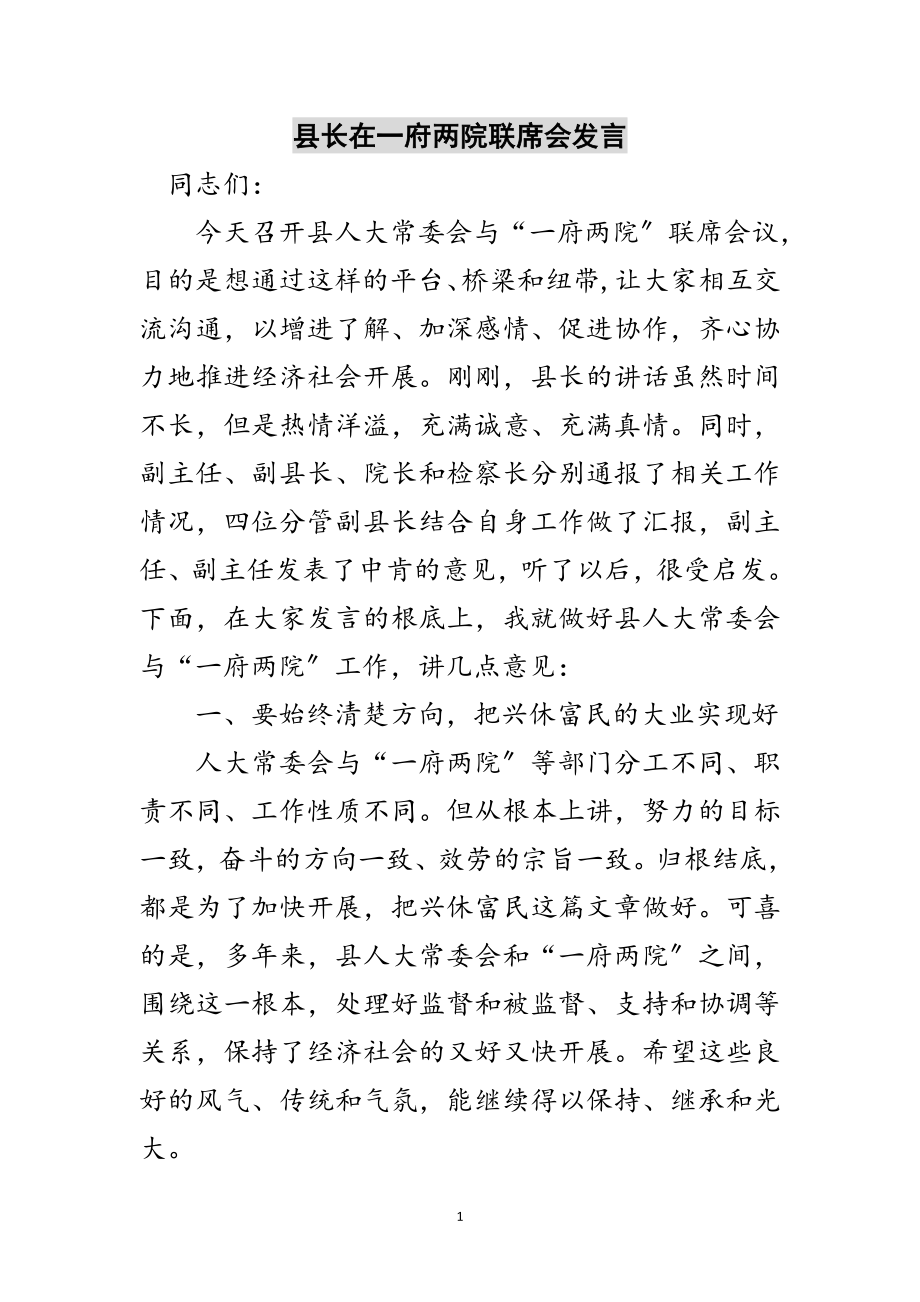 2023年县长在一府两院联席会发言范文.doc_第1页