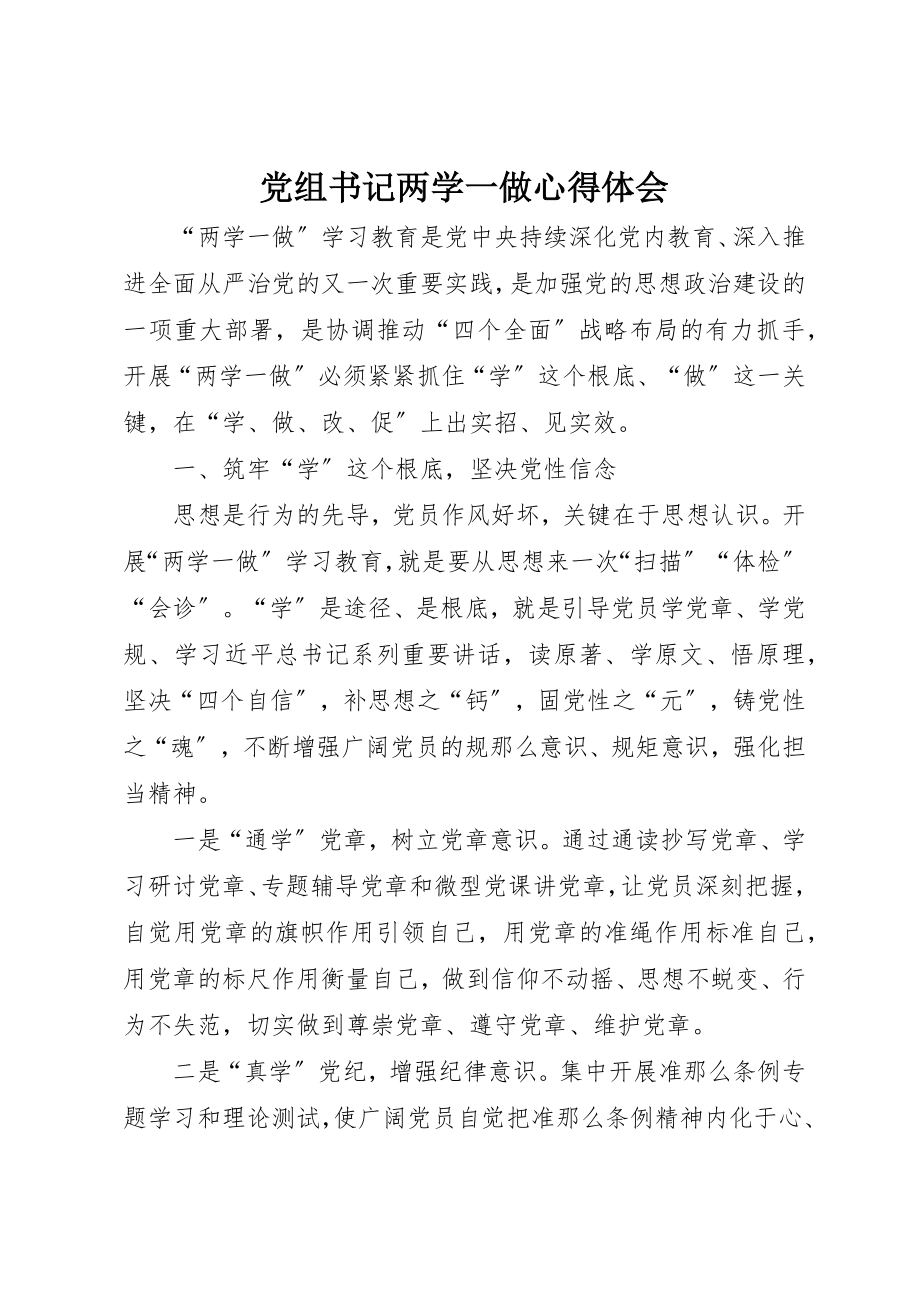 2023年党组书记两学一做心得体会.docx_第1页