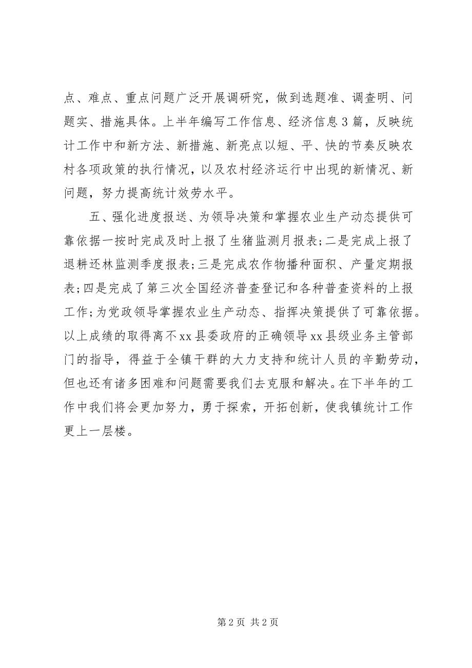 2023年乡镇统计人员个人工作总结.docx_第2页