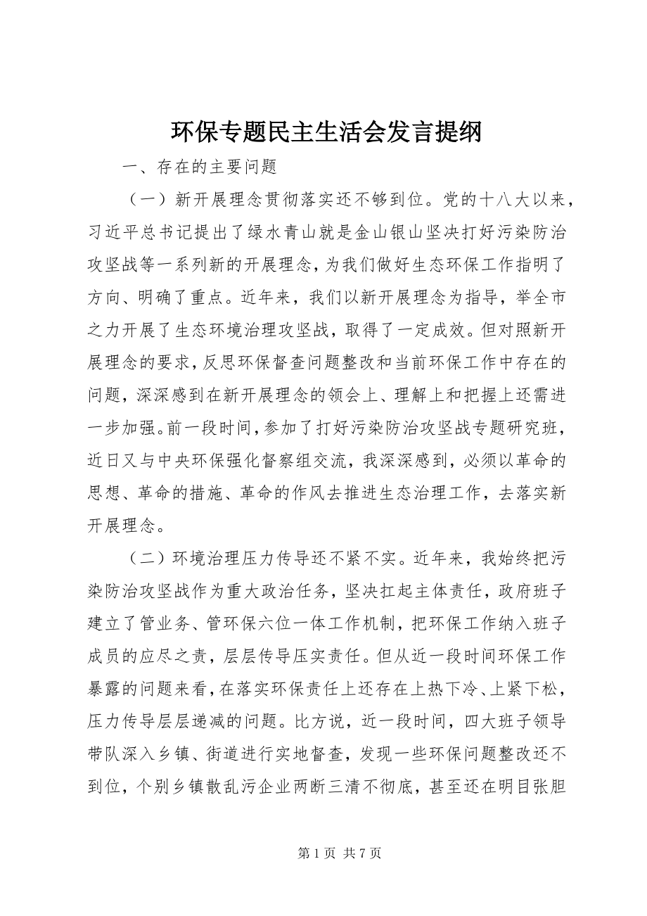 2023年环保专题民主生活会讲话提纲.docx_第1页