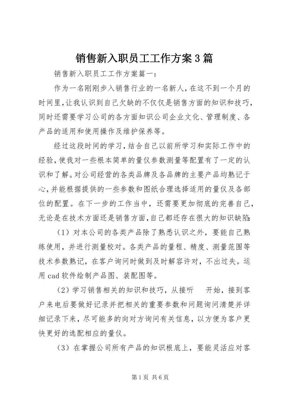 2023年销售新入职员工工作计划3篇.docx_第1页