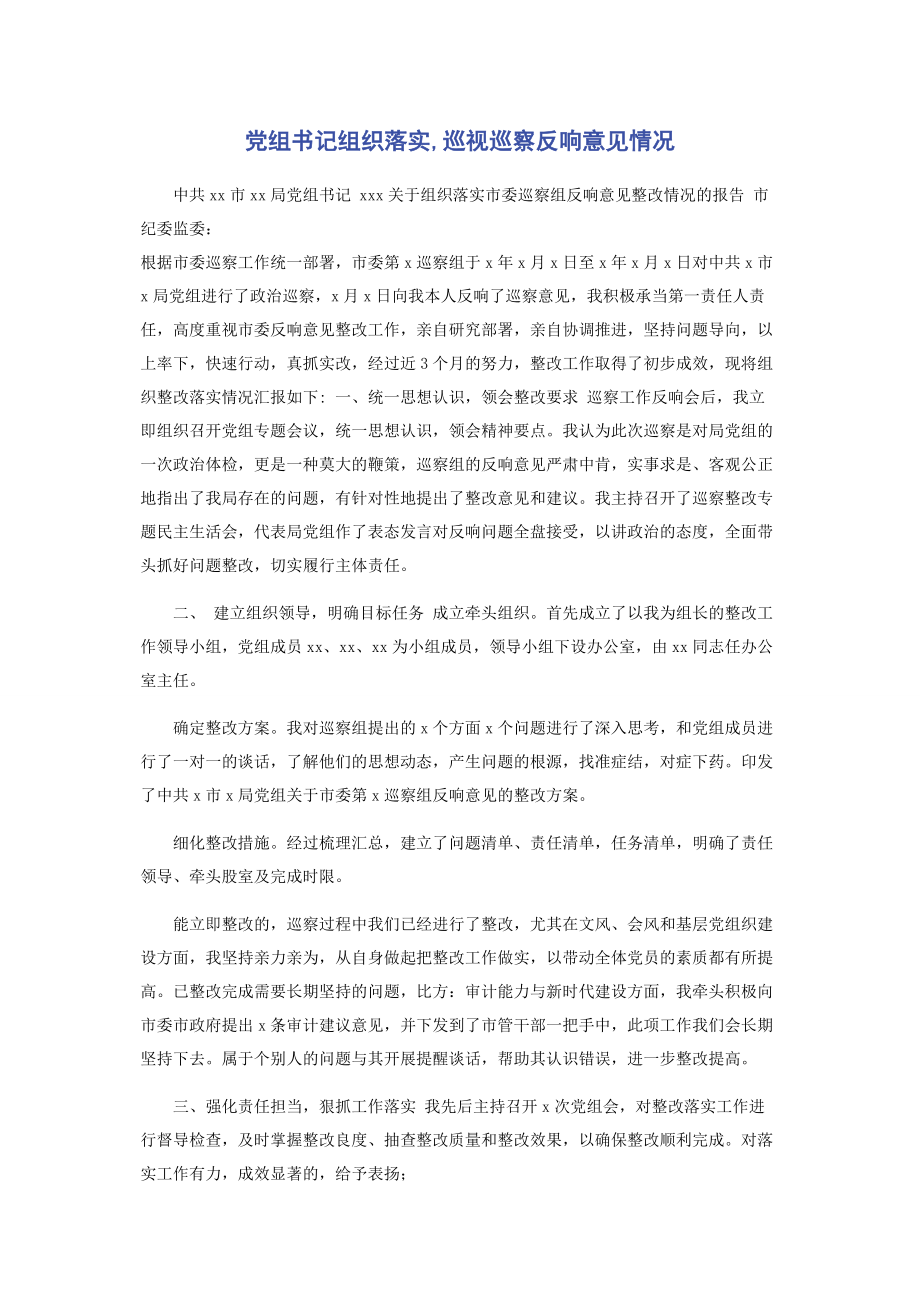 2023年党组书记组织落实巡视巡察反馈意见情况.docx_第1页