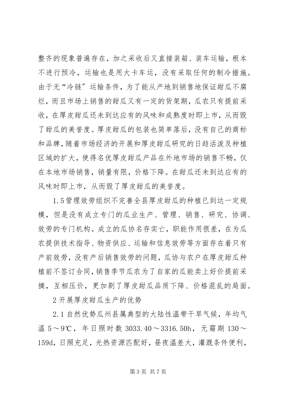 2023年瓜州县发展厚皮甜瓜产业的思路与对策厚皮甜瓜种子.docx_第3页