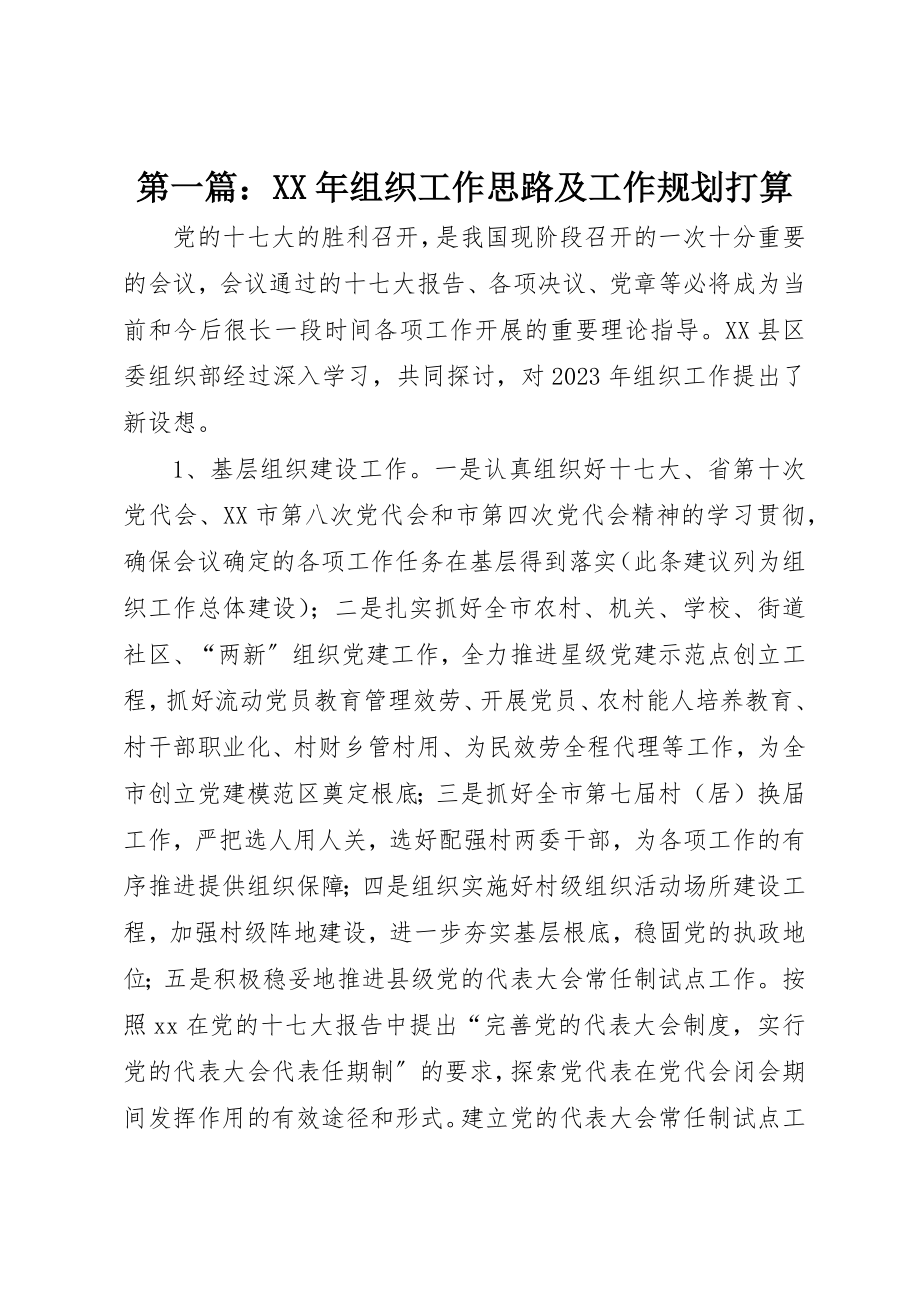 2023年xx某年组织工作思路及工作规划打算新编.docx_第1页