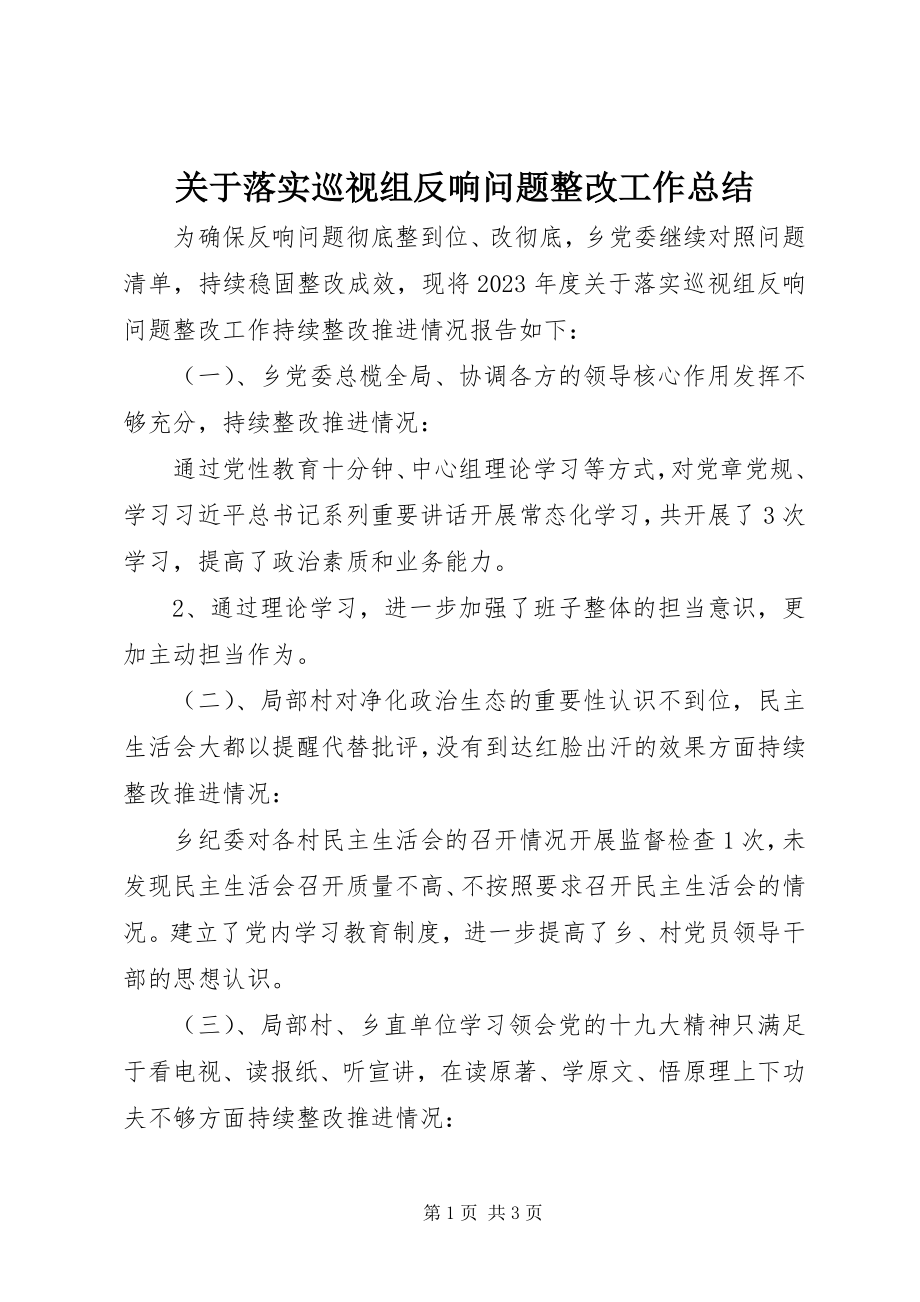 2023年落实巡视组反馈问题整改工作总结.docx_第1页