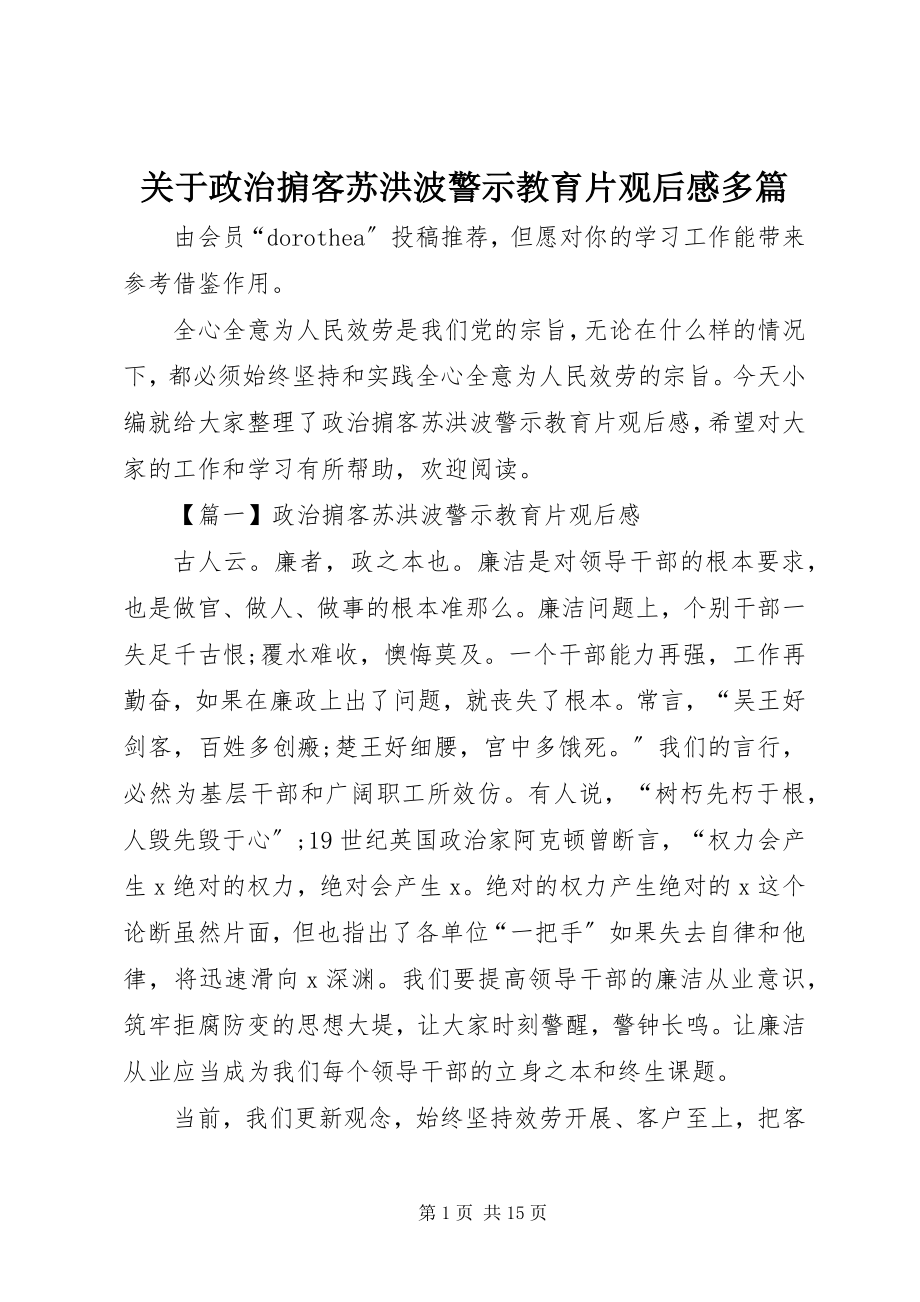 2023年《政治掮客苏洪波》警示教育片观后感多篇.docx_第1页