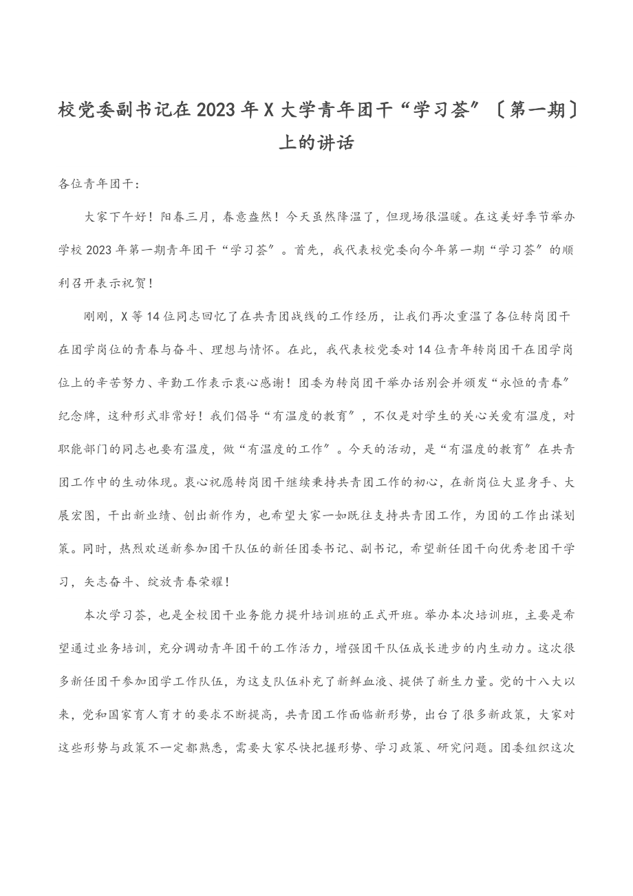 校党委副书记在X大学青年团干“学习荟”（第一期）上的讲话.docx_第1页