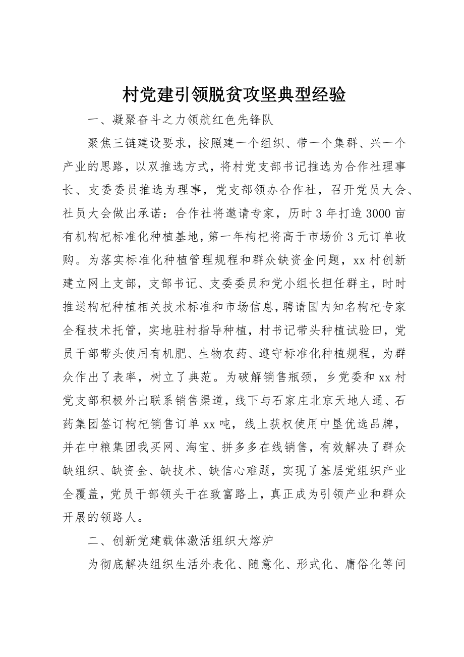 2023年村党建引领脱贫攻坚典型经验新编.docx_第1页