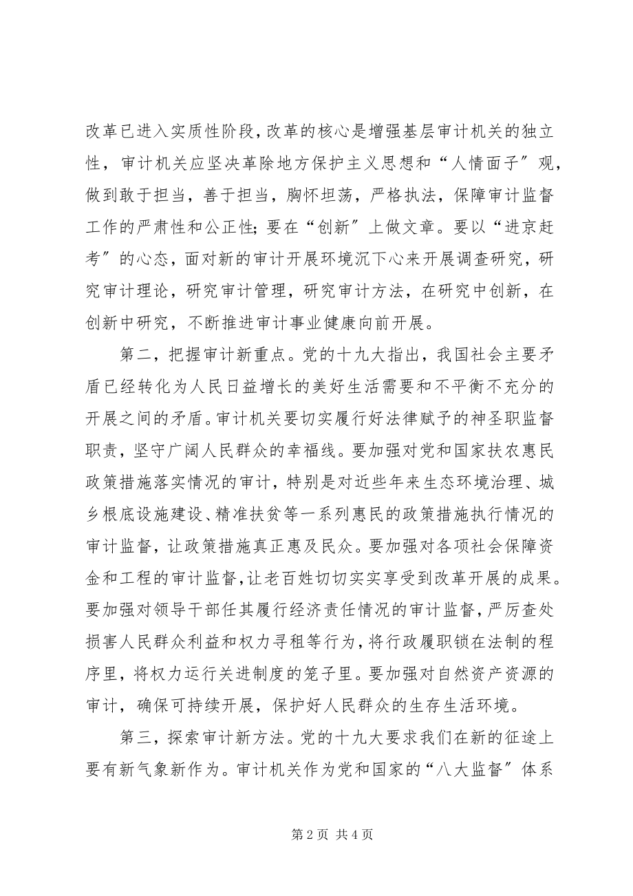 2023年结合十九大精神谈审计工作创新发展.docx_第2页