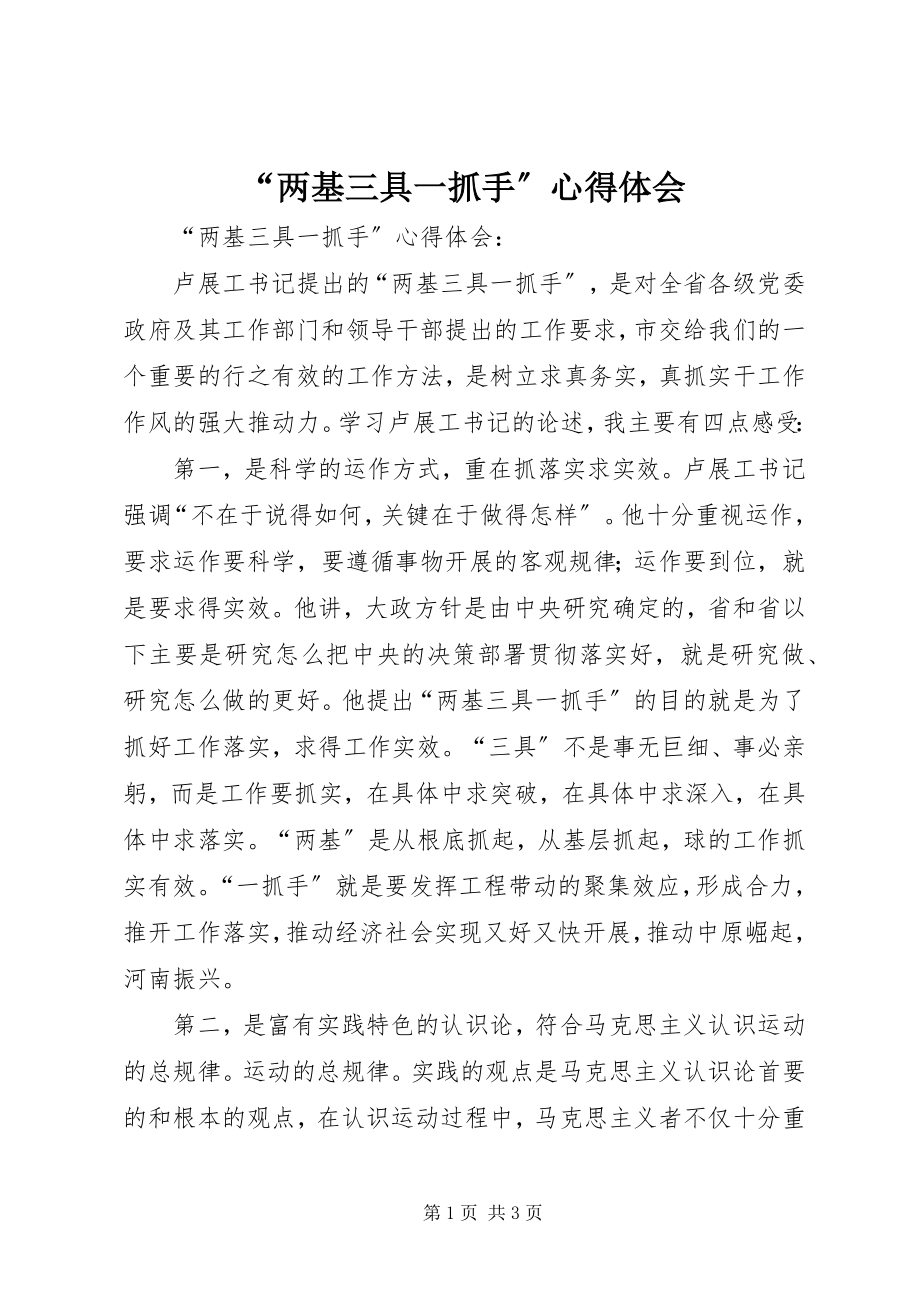 2023年“两基三具一抓手”心得体会新编.docx_第1页