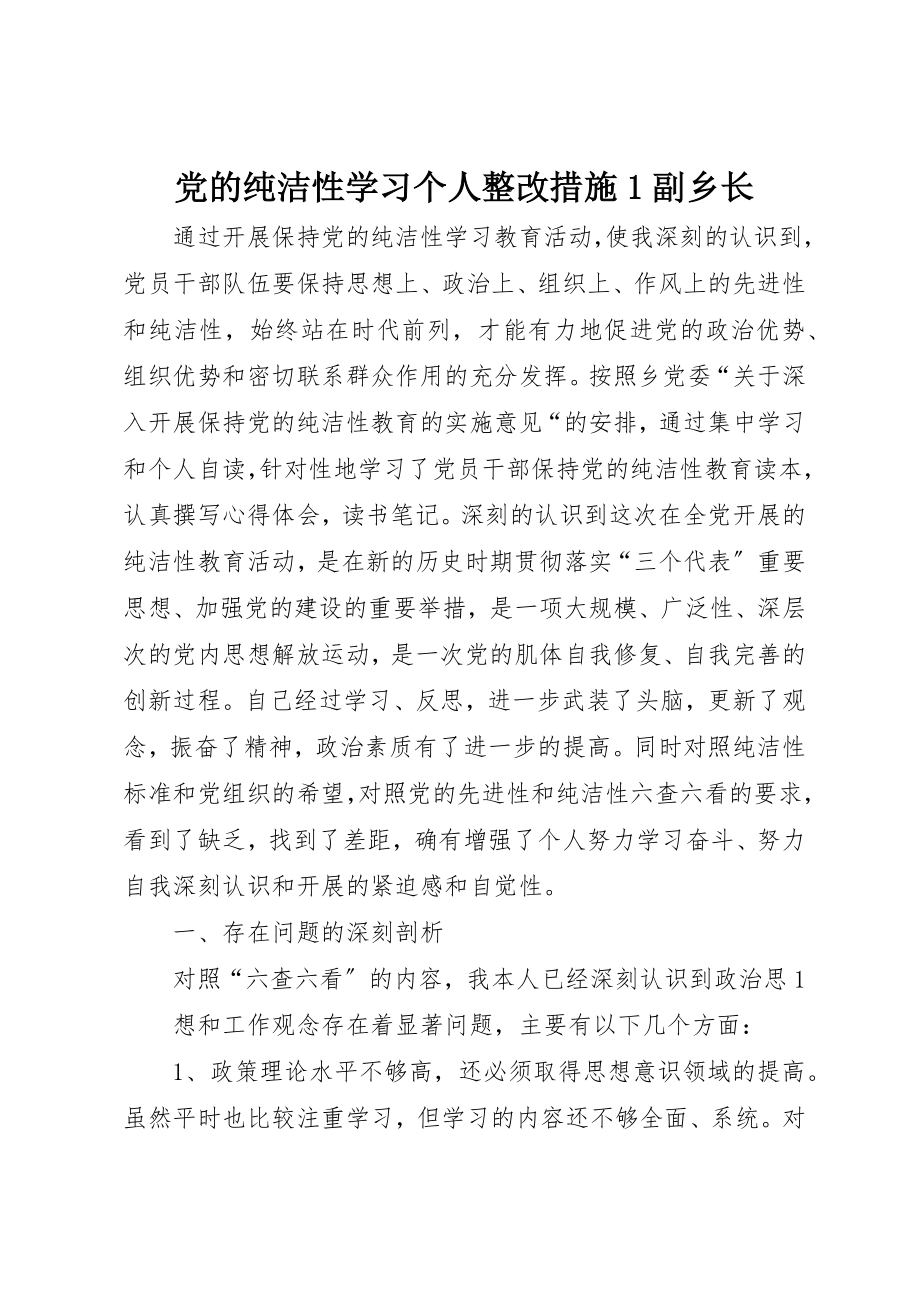 2023年党的纯洁性学习个人整改措施1副乡长新编.docx_第1页