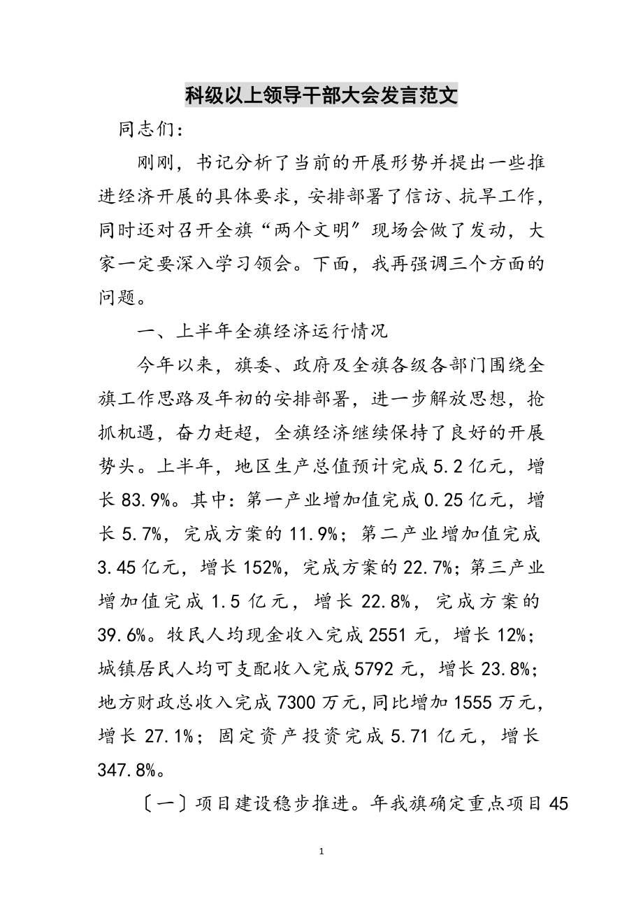 2023年科级以上领导干部大会发言范文范文.doc_第1页