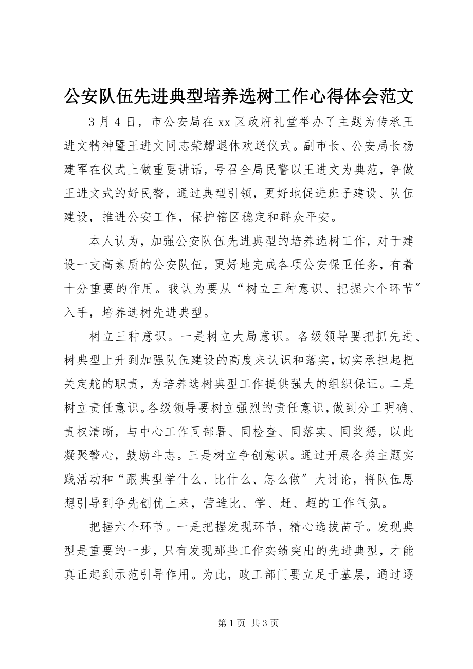 2023年公安队伍先进典型培养选树工作心得体会2.docx_第1页