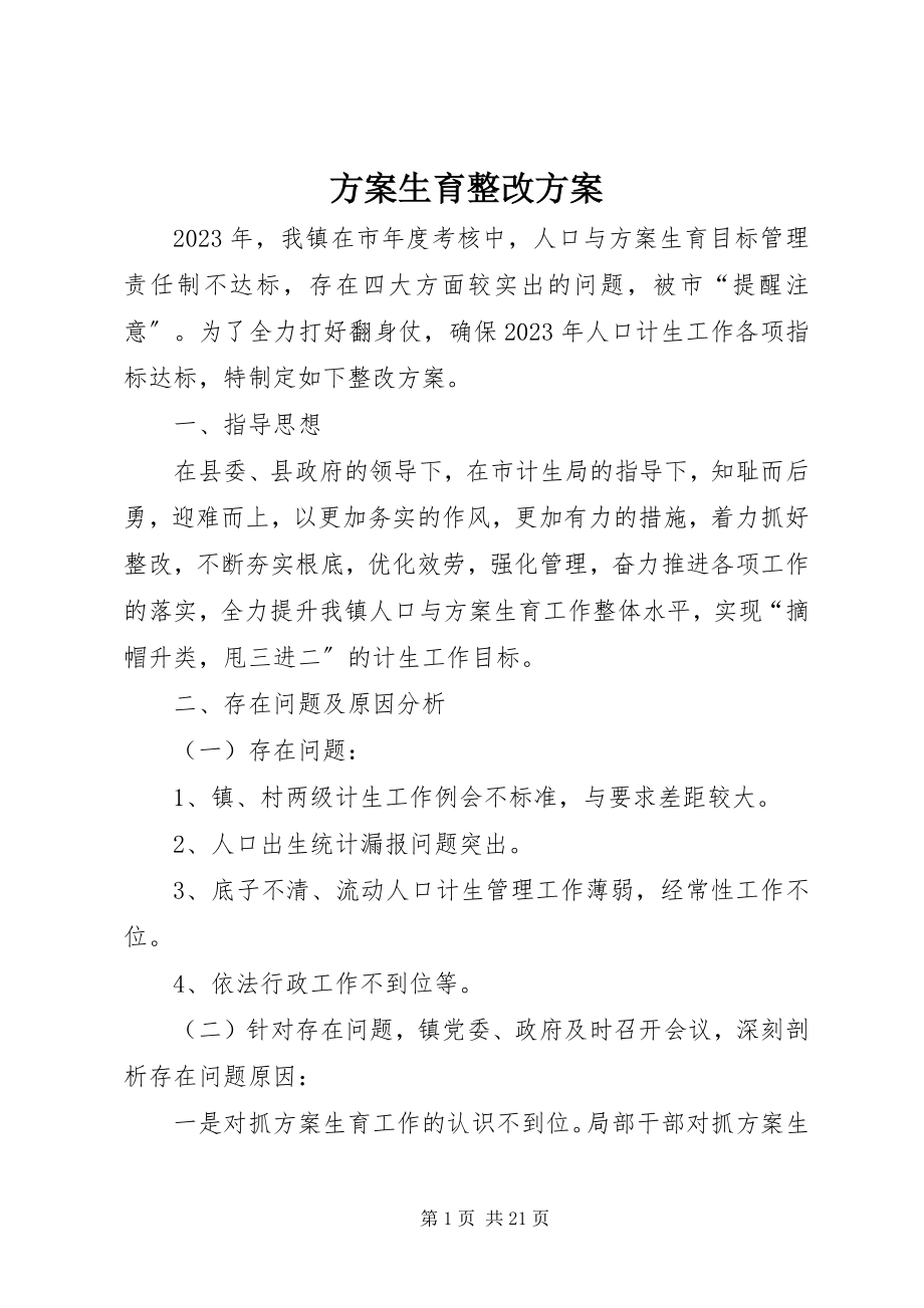 2023年计划生育整改方案2.docx_第1页