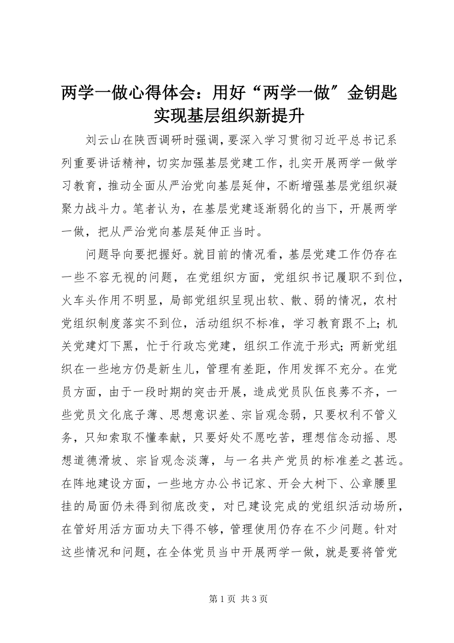 2023年两学一做心得体会用好“两学一做”金钥匙实现基层组织新提升.docx_第1页