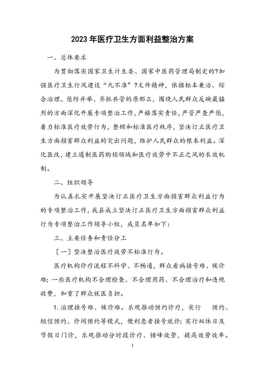 2023年医疗卫生方面利益整治方案.docx_第1页