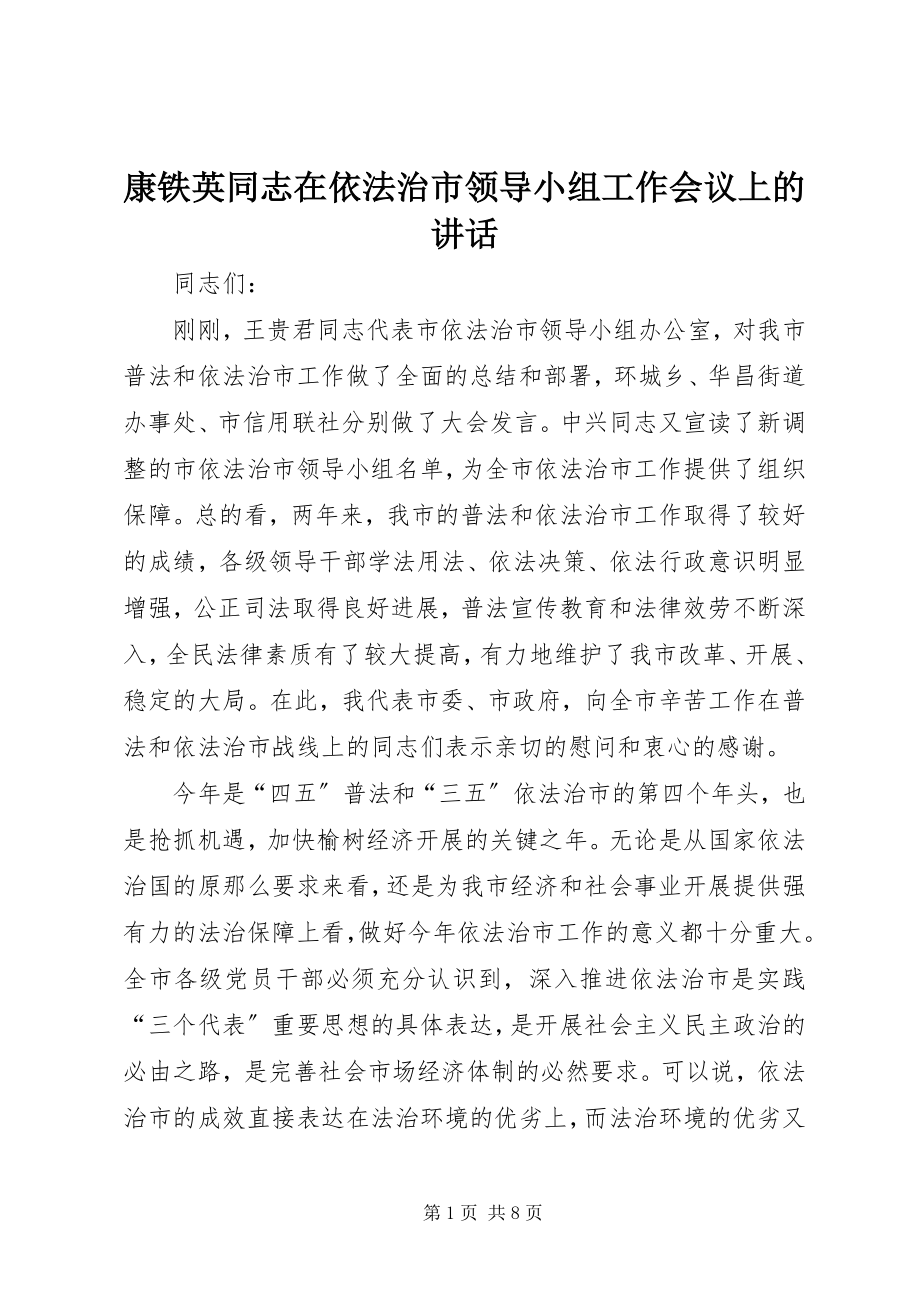 2023年康铁英同志在依法治市领导小组工作会议上的致辞.docx_第1页