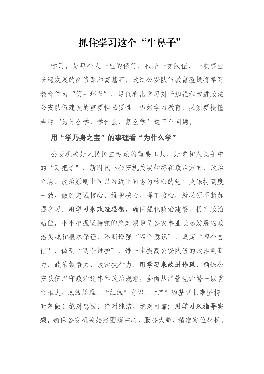 政法公安队伍教育整顿学习会讲话：抓住学习这个“牛鼻子”.docx_第1页