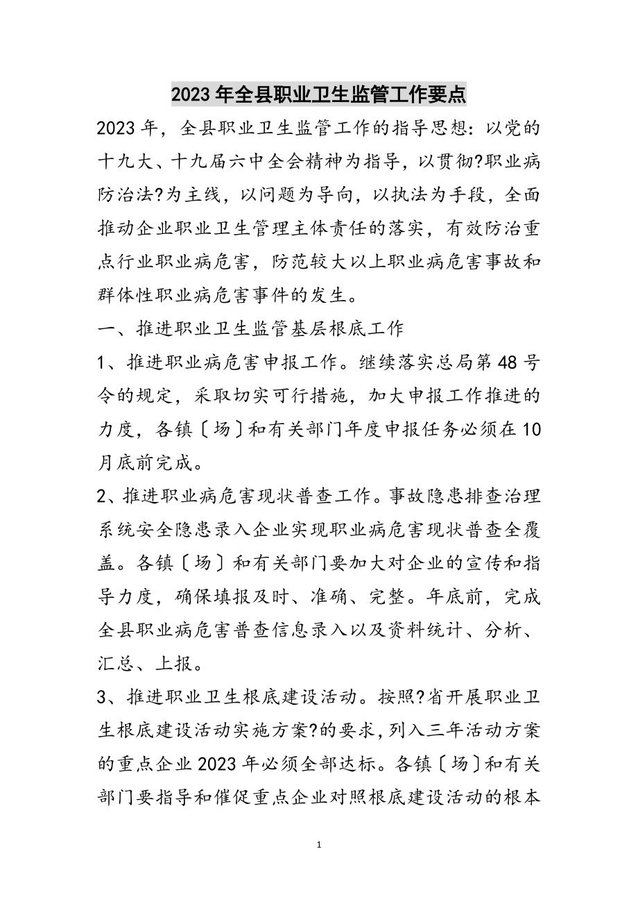 2023年年全县职业卫生监管工作要点范文.doc_第1页