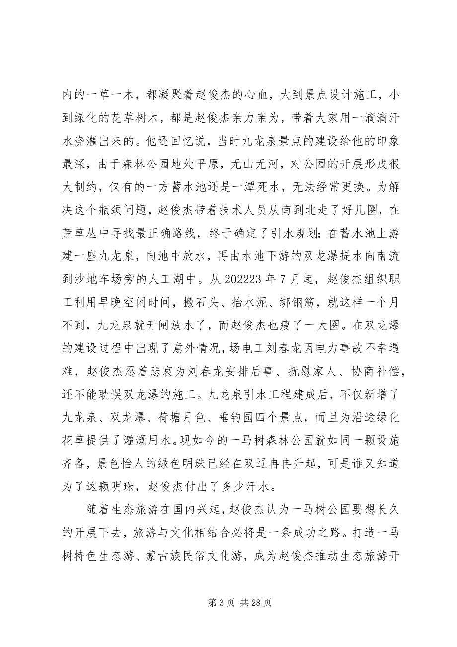 2023年赵俊杰一马树森林公园的破局之路.docx_第3页