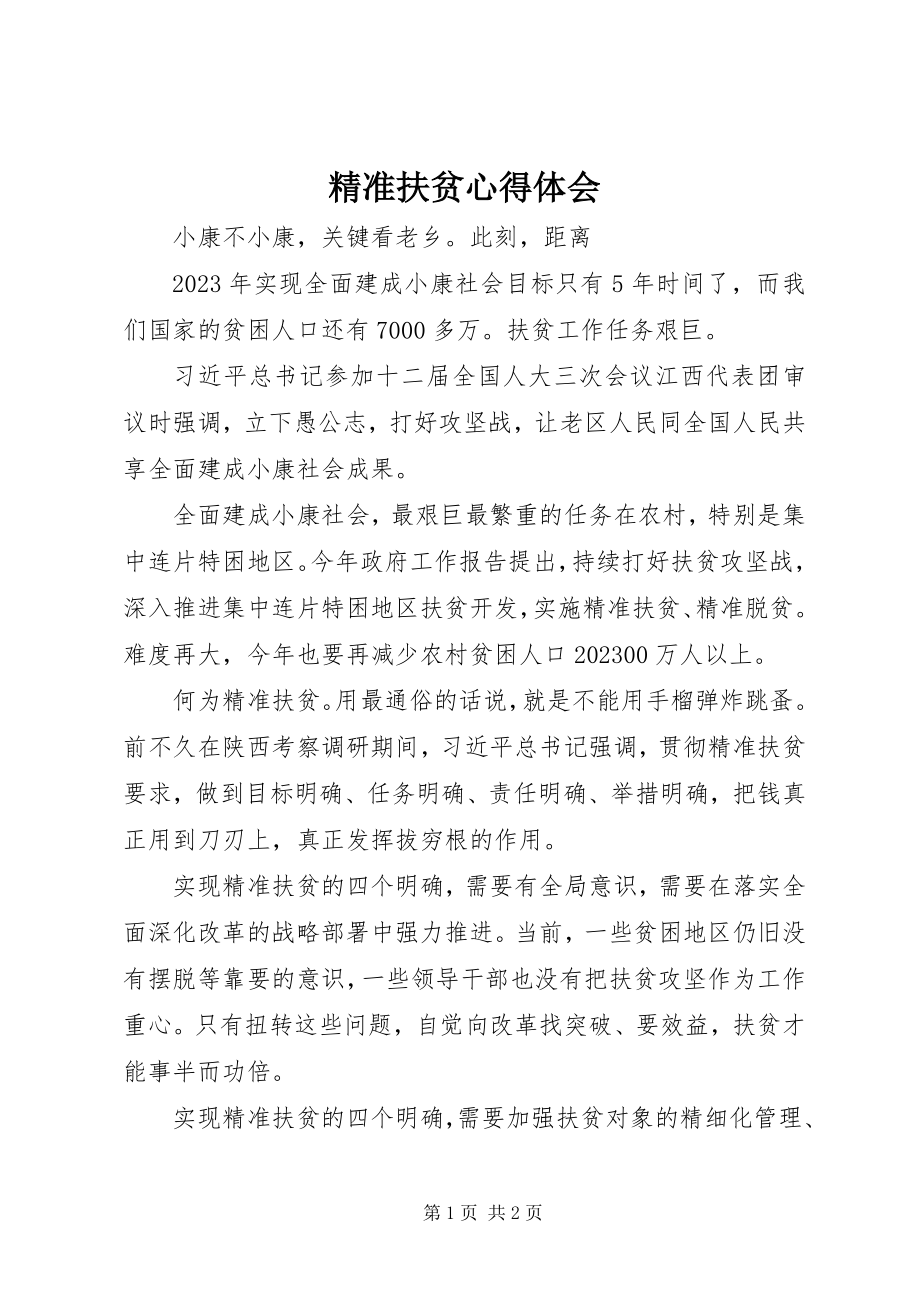 2023年精准扶贫心得体会.docx_第1页