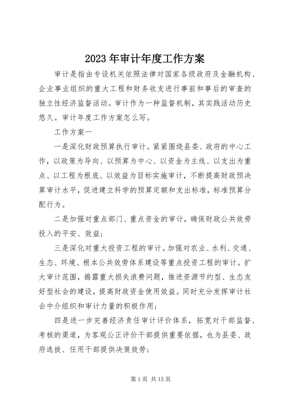 2023年审计年度工作计划.docx_第1页