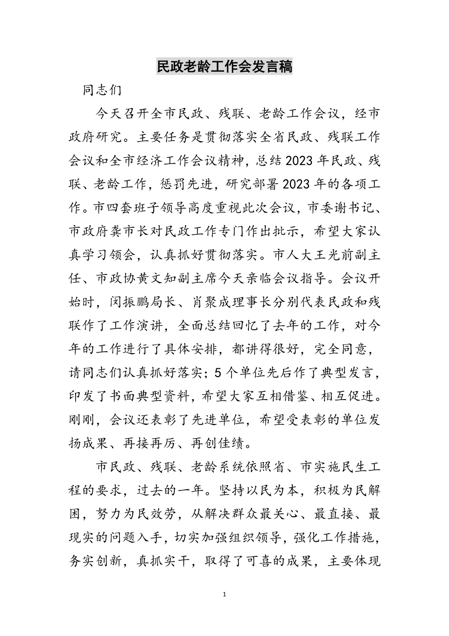 2023年民政老龄工作会发言稿范文.doc_第1页