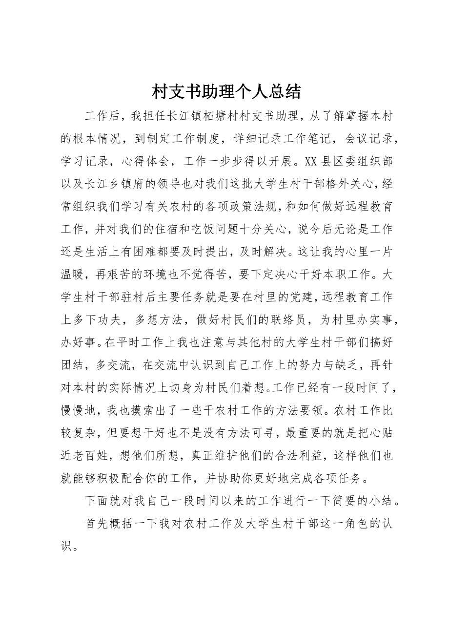 2023年村支书助理个人总结新编.docx_第1页