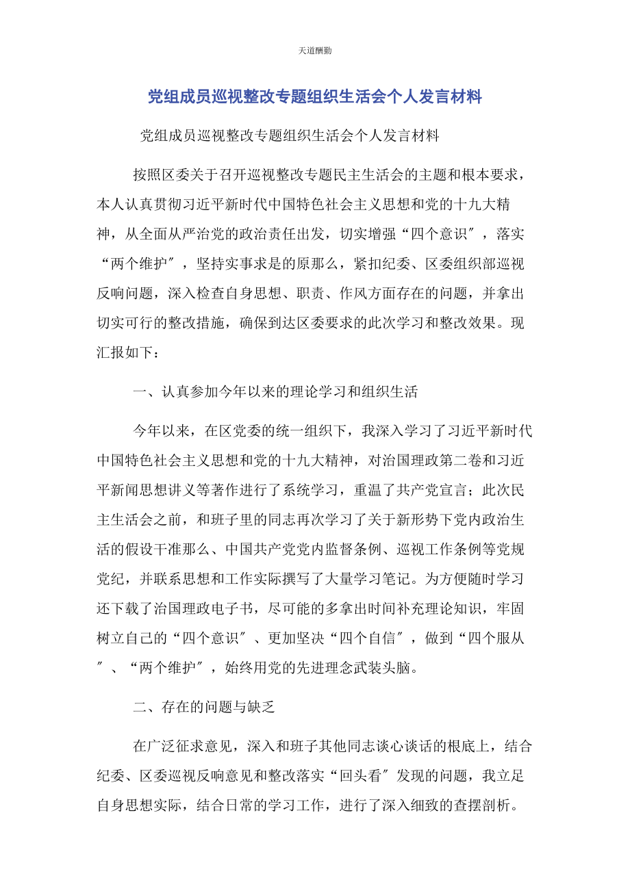 2023年党组成员巡视整改专题组织生活会个人发言材料.docx_第1页