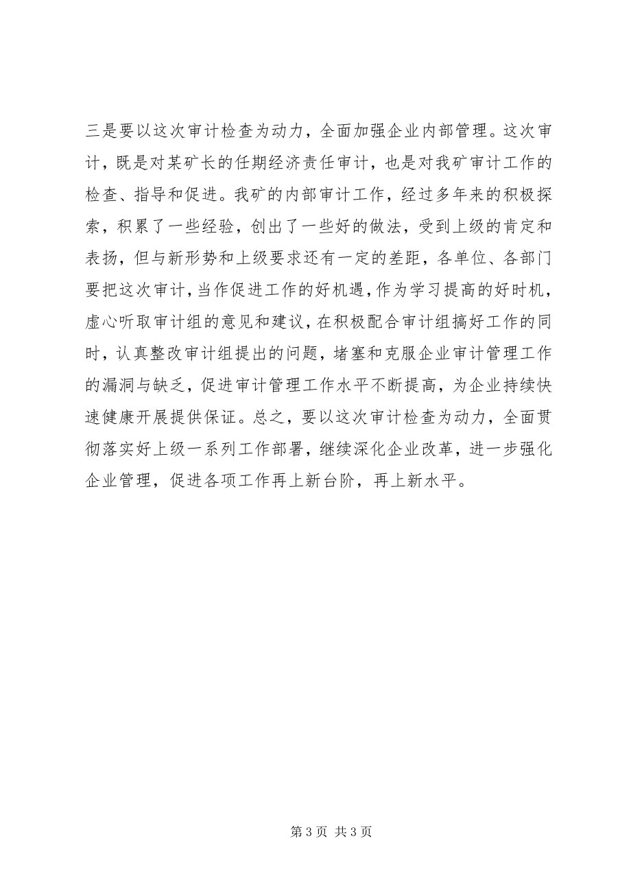 2023年公司经济审计会上的致辞.docx_第3页