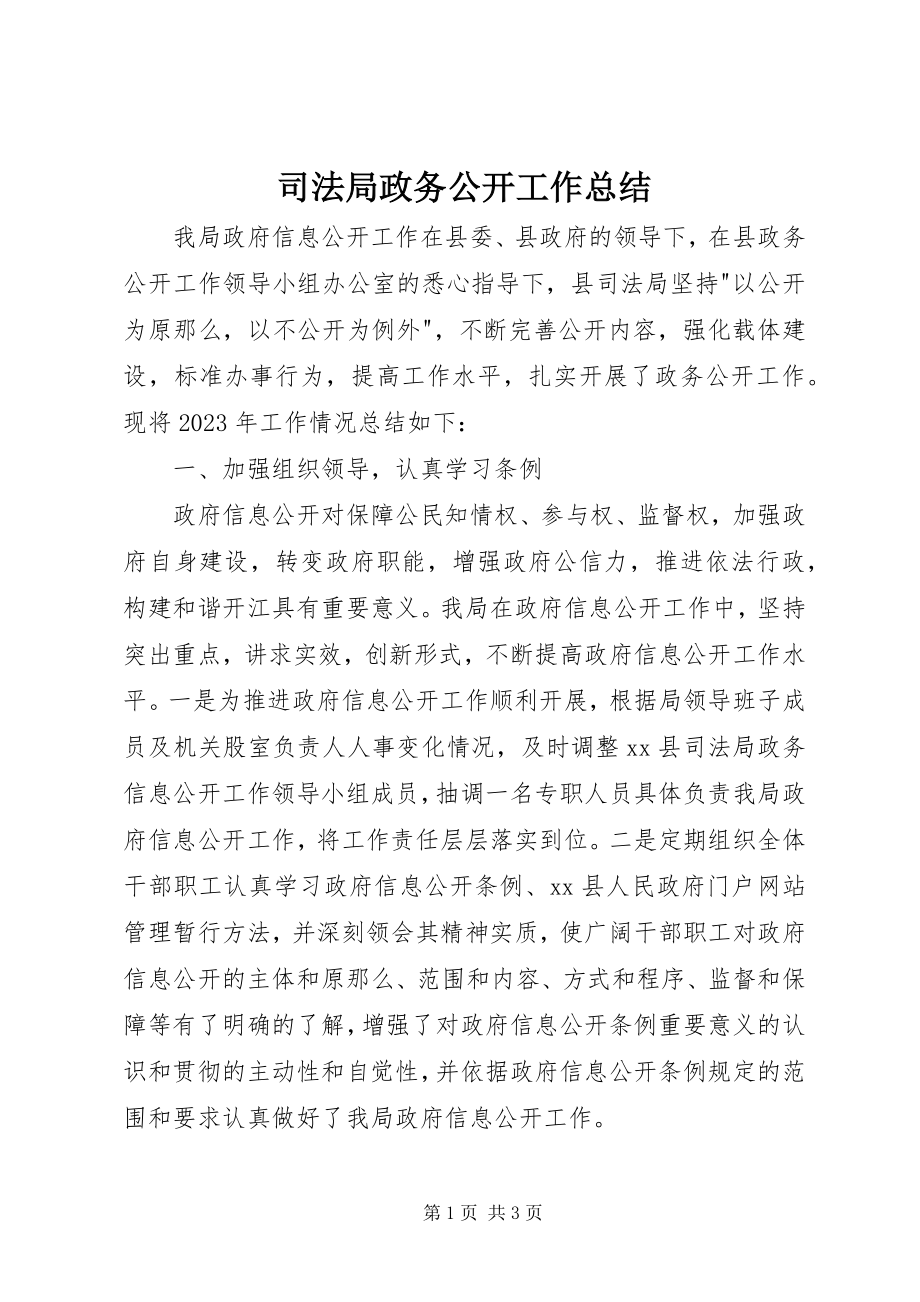 2023年司法局政务公开工作总结.docx_第1页