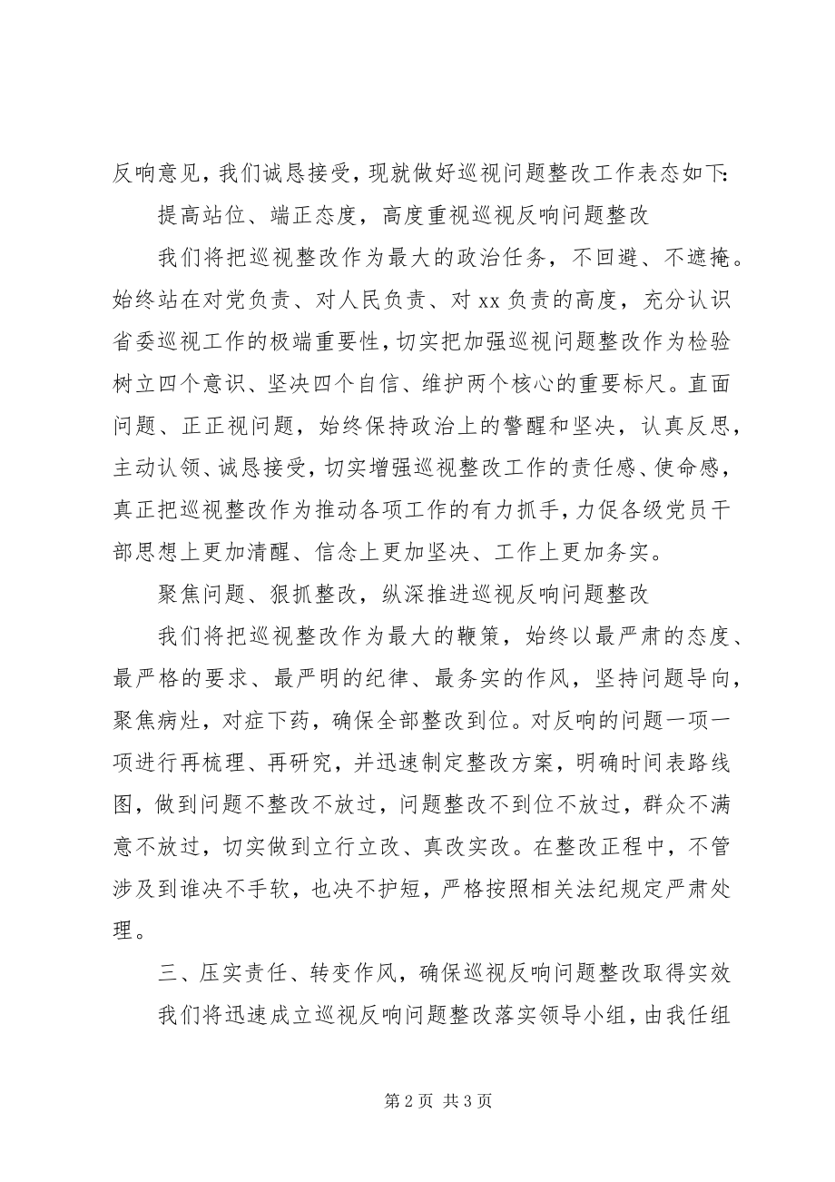 2023年在巡察反馈会上的表态讲话县级班子.docx_第2页