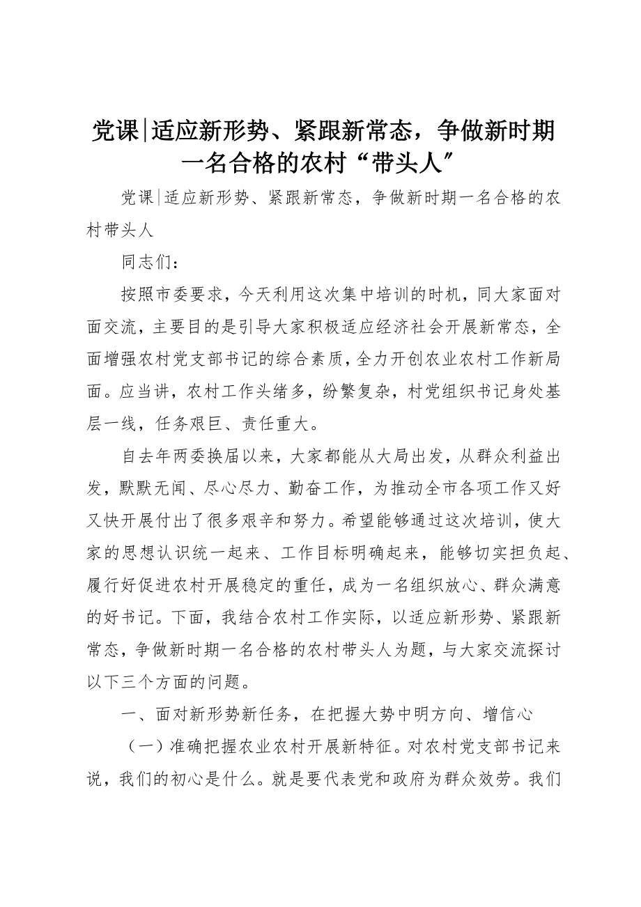 2023年党课适应新形势、紧跟新常态争做新时期一名合格的农村“带头人”.docx_第1页