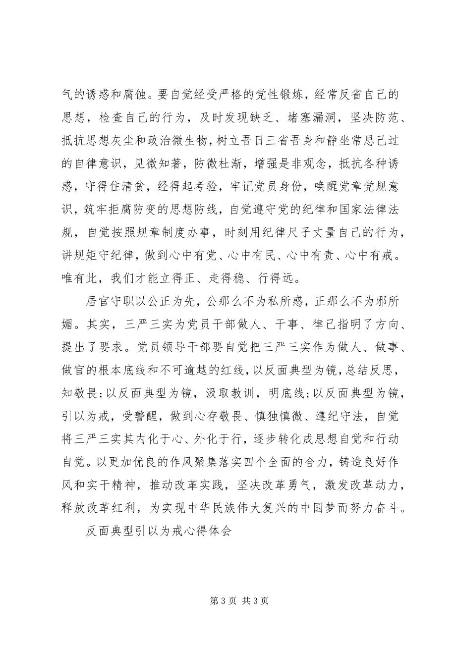 2023年反面典型引以为戒心得体会.docx_第3页