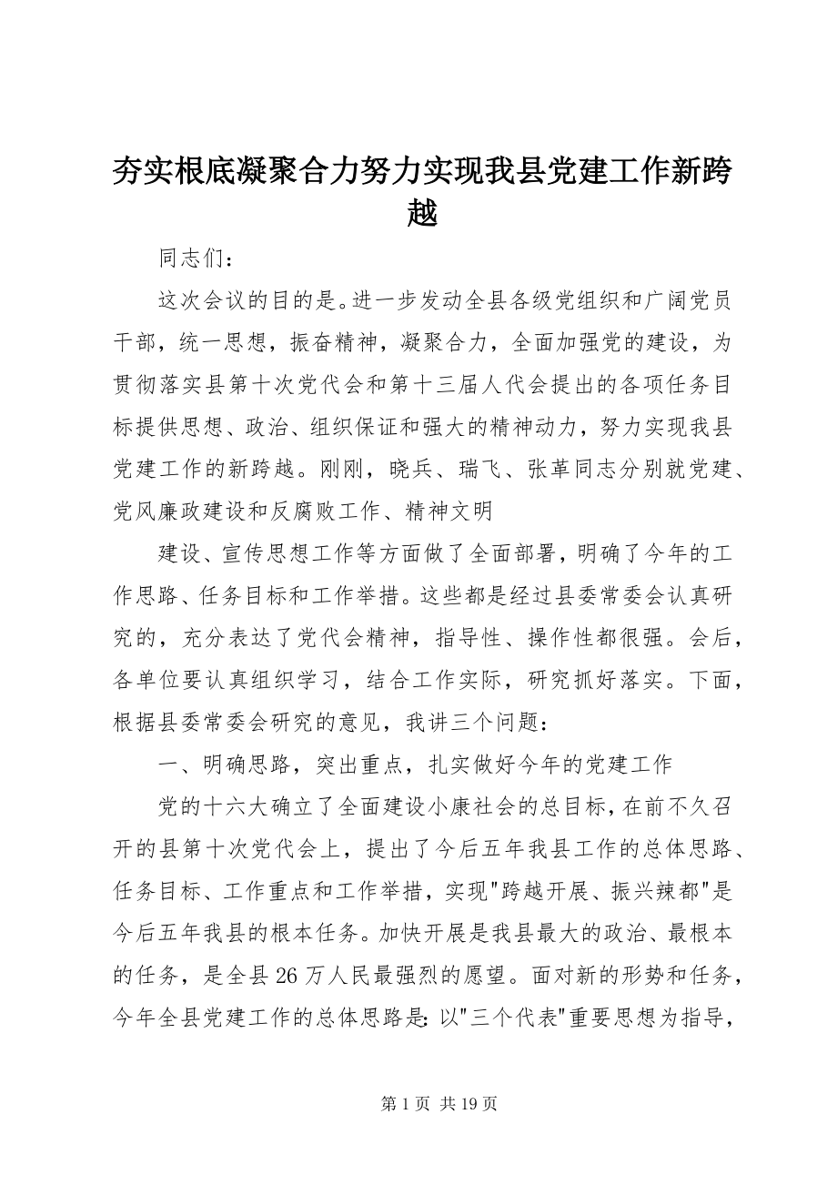 2023年夯实基础凝聚合力努力实现我县党建工作新跨越.docx_第1页