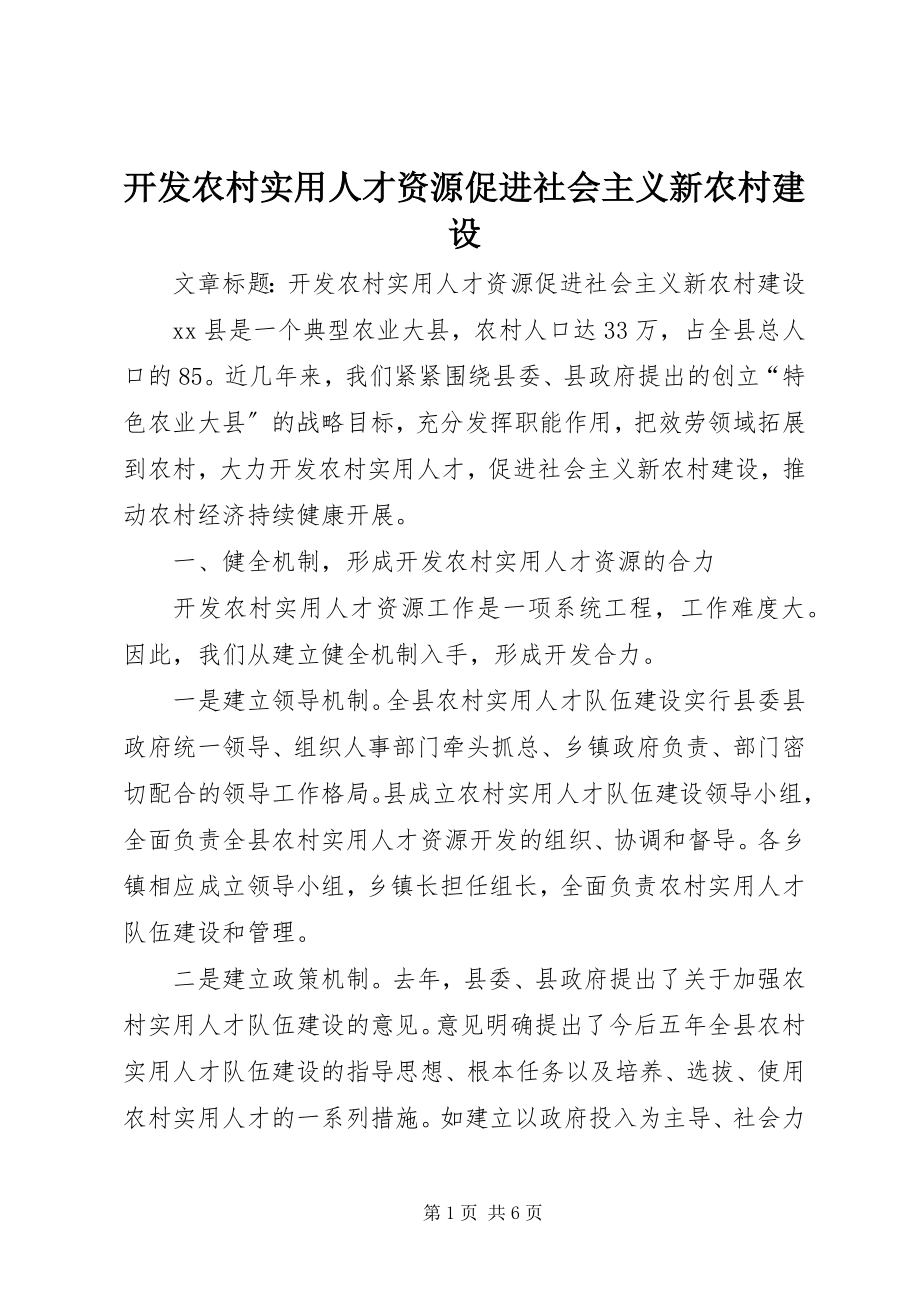 2023年开发农村实用人才资源促进社会主义新农村建设.docx_第1页